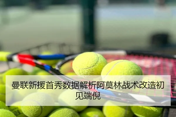曼联新援首秀数据解析阿莫林战术改造初见端倪