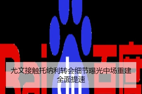 尤文接触托纳利转会细节曝光中场重建全面提速