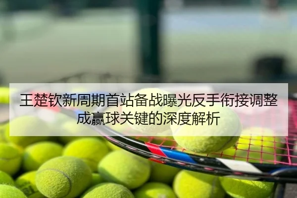 王楚钦新周期首站备战曝光反手衔接调整成赢球关键的深度解析