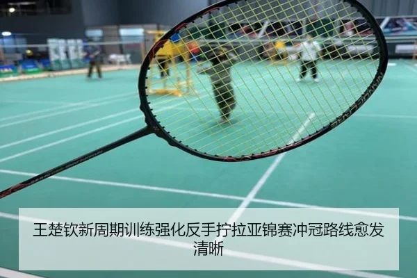 王楚钦新周期训练强化反手拧拉亚锦赛冲冠路线愈发清晰